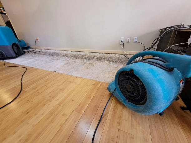 Professional Sewage Cleanup technician working in Monument Beach, MA